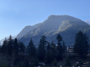Green mountains and forests under sunlight