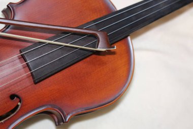 Wooden violin body in brown color