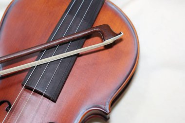 Wooden violin body in brown color