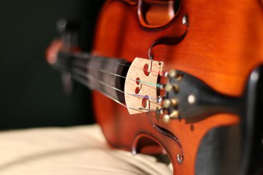 Wooden violin body in brown color