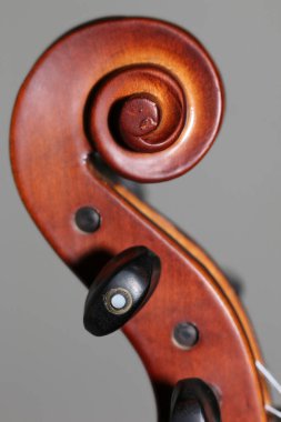 Wooden violin head in brown color