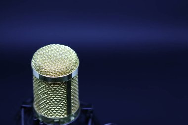 Condenser microphone with gold accents