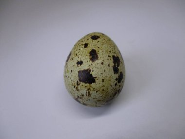 bir bıldırcın yumurtası beyaz zemin üzerine