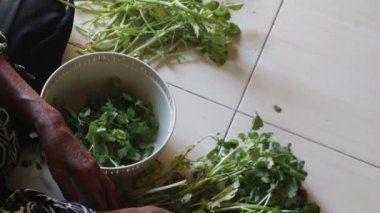 Su teresi (Nasturtium officinale, N. microphyllum) Asyalı anne tarafından pişirilmek üzere seçildi ve temizlendi.