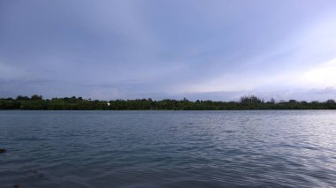 Mavi deniz suyu, ağaçlar ve biraz karanlık gökyüzü manzarası.                       