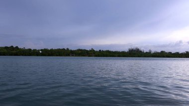 Mavi deniz suyu, ağaçlar ve biraz karanlık gökyüzü manzarası.                       
