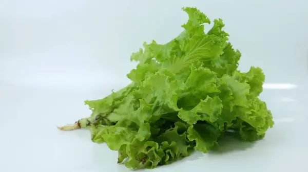 stock image Fresh lettuce leaves close up on white background, food concept