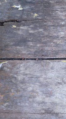 Gri kahverengi ahşap arkaplan dokusunu kapat