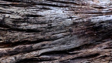 Koyu kahverengi eski ağaç dokusu. Klasik. Klasik.