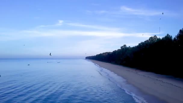 Drone Aerial Long Tail Fishing Boats Κατεύθυνση Προς Dawn Στο — Αρχείο Βίντεο