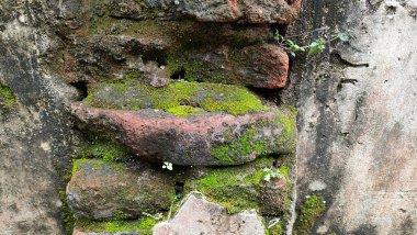 Yosun kaplı eski taş duvar dokusunun arkaplanı