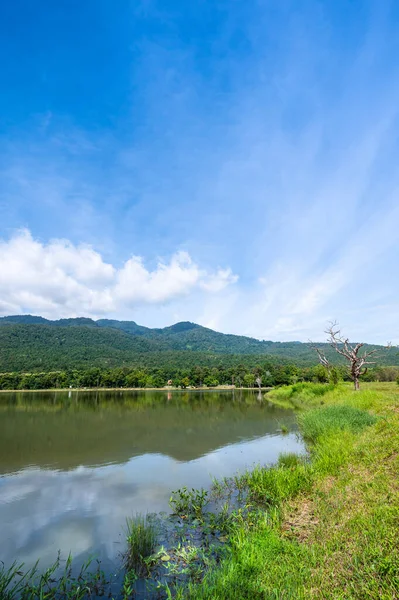 Morning View Huay Tueng Thao Lake Chiang Mai Province — Stok fotoğraf