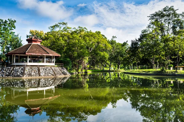 Shady Public Park in Chiang Mai Province, Thailand.