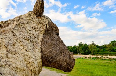 Sheep Straw Puppet with Blue Sky at Chiang Mai Province, Thailand.