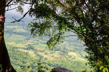 Natural Viewpoint on The Cliff of Wat Pa Phu Pha Sung, Nakhon Ratchasima Province.