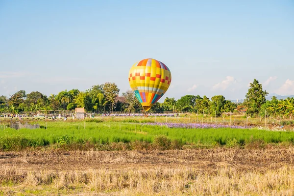 Hot air balloon in the flower garden, Chiangmai province.