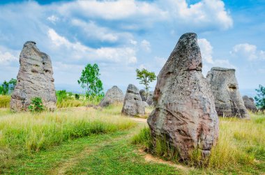 Strange shaped stone at Mor Hin Khao,  Chaiyaphum province.