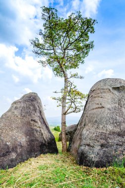 Strange shaped stone at Mor Hin Khao,  Chaiyaphum province.
