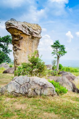 Strange shaped stone at Mor Hin Khao,  Chaiyaphum province.