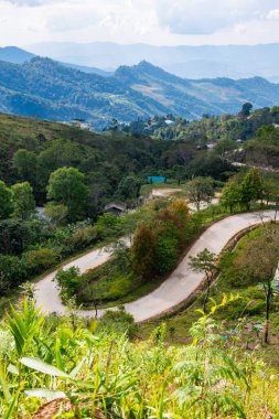 The road is winding and steep at Doi Pha Tang, Chiang Rai Province.