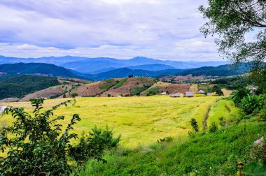 Pa Bong Piang Rice Terraces at Chiang Mai Province, Thailand.