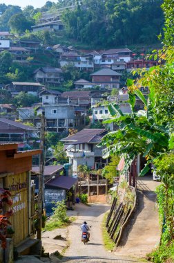 Pha Hi village on the mountain, Chiang Rai province.
