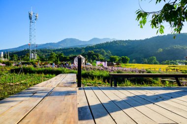 The Platform for Viewing in Flower Garden, Chiang Mai Province.