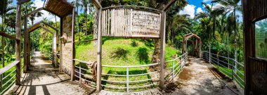 Arboretum Trail in Queen Sirikit Botanic Garden, Chiang Mai Province.