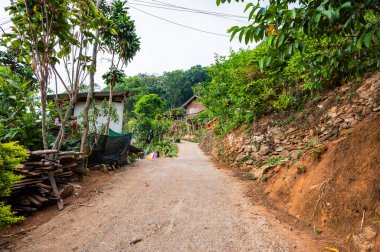 Doi Pui Mong hill tribe village at Doi Suthep Pui national park, Thailand.