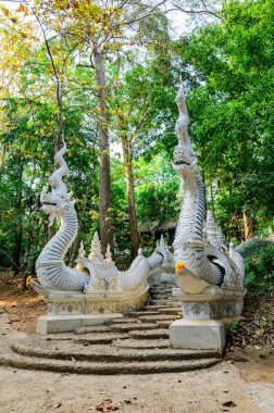 Naga Stairs of Wat Luang Khun Win in Chiangmai Province, Thailand.