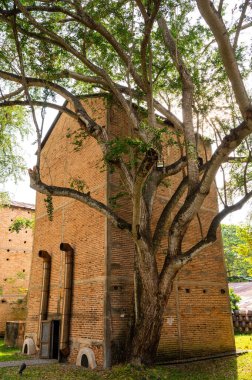 Tobacco curing building in Chiang Mai province, Thailand.