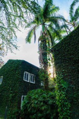 Vintage building with beautiful park in Chiang Mai province, Thailand.