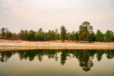 Reservoir with tree reflection in Chiang Mai province, Thailand.