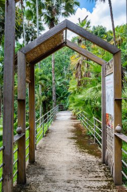 CHIANG MAI, THAILAND - May 27, 2020 : Arboretum Trail in Queen Sirikit Botanic Garden, Chiang Mai Province.