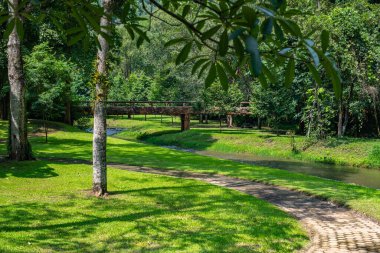 Landscape view of Phu Sang National Park, Phayao province.
