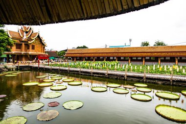 Landscape in Jedlin temple, Thailand.