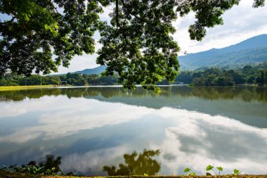 Ang Kaew Reservoir in Chiang Mai University, Thailand.