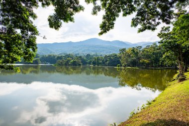 Ang Kaew Reservoir in Chiang Mai University, Thailand.