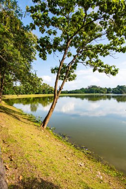Ang Kaew Reservoir in Chiang Mai University, Thailand.
