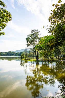 Ang Kaew Reservoir in Chiang Mai University, Thailand.