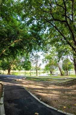 Running track in Ang Kaew Reservoir, Chiang Mai University.