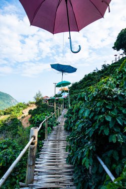 Bamboo bridge with mountain view in Pha Hi village, Chiang Rai province.