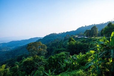 Mountain view at Doi Tung view point, Chiang Rai province.