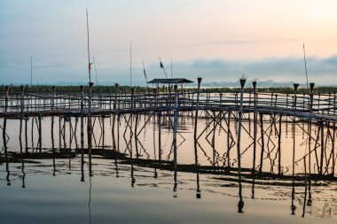 Kwan Phayao lake at sunrise, Thailand.