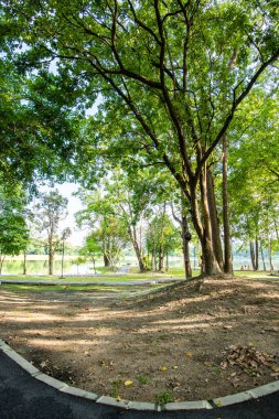 Running track in Ang Kaew Reservoir, Chiang Mai University.