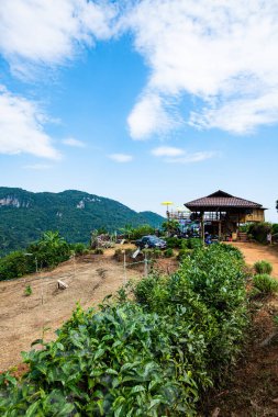 Pha Hi village on the mountain, Chiang Rai province.