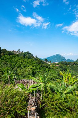 Pha Hi village on the mountain, Chiang Rai province.