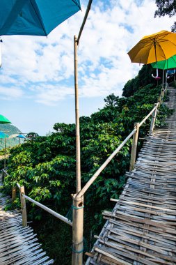 Bamboo bridge with mountain view in Pha Hi village, Chiang Rai province.