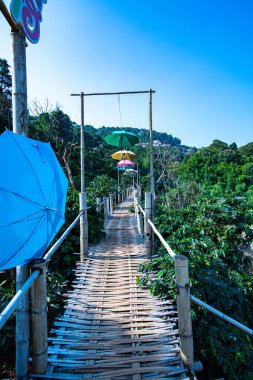 Bamboo bridge with mountain view in Pha Hi village, Chiang Rai province.