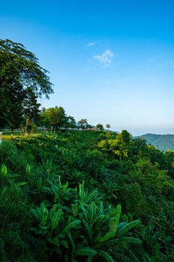 Mountain view at KM 12 view point Chiang Rai province.